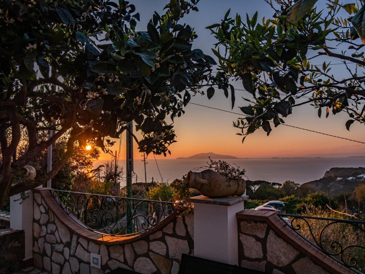 Casa Astra Bed and Breakfast Anacapri  Exteriör bild